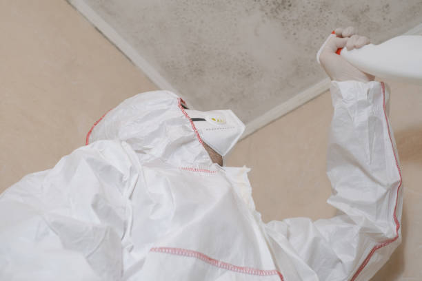 Crawl Space Mold Removal in Paris, AR
